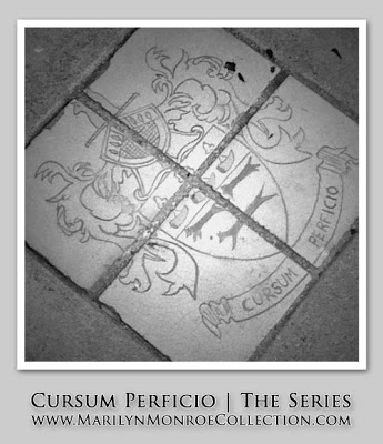 Coming Soon: Cursum Perficio | The Series