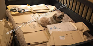 David-Gainsborough-Roberts-Marilyn-Monroe-Auction-4-3