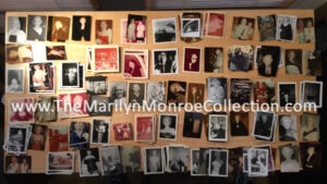 Frieda-Hull-Collection-1