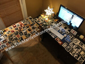 Frieda-Hull-Collection-5