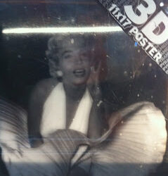 Marilyn Spotting:  My Travels in 2010