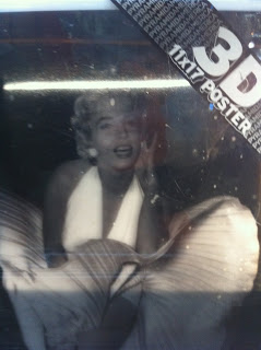 Marilyn Spotting:  My Travels in 2010