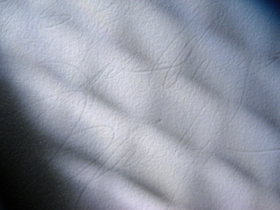 Marilyn Monroe owned autographed photo from her personal collection.