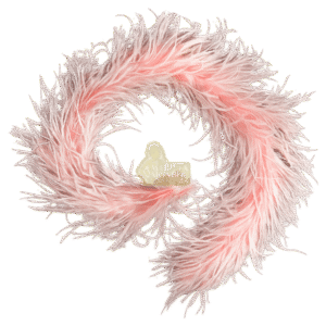 Marilyn Monroe’s Personal Pink Ostrich Feather Boa